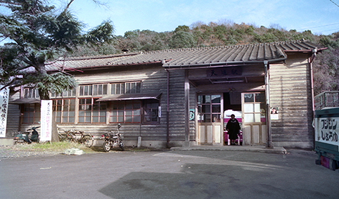 �V���w���w��