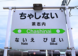 ���u���w