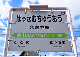 ���������w