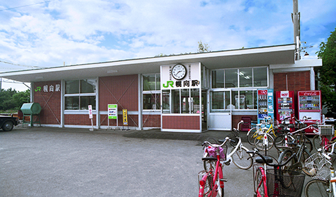 �y���w���w��