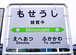 ���w���w