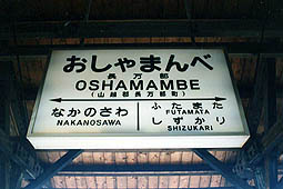 �������w