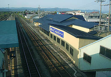 �������w