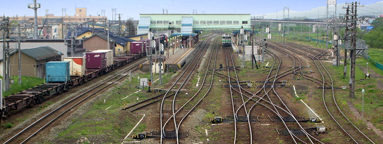 �������w