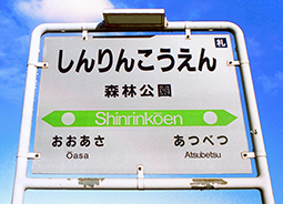 �X�ь����w