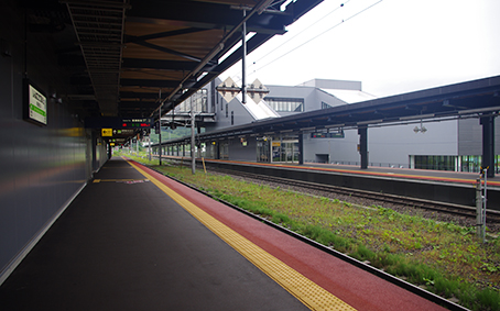 �V���ٖk�l�w