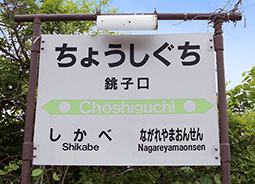 ���q���w