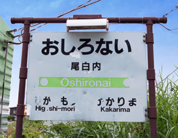 �������w