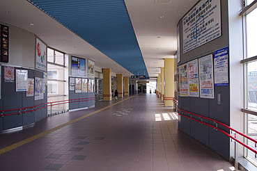 �������w