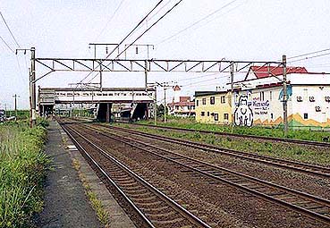 ���m�[�w ���w��