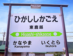 �����z�w