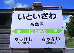 ������w�@���w��