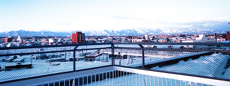 �эL�w�@���w��