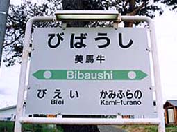 ���n���w