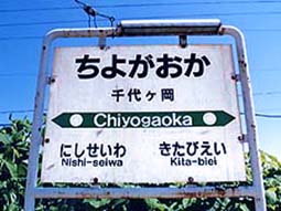 ���P���w