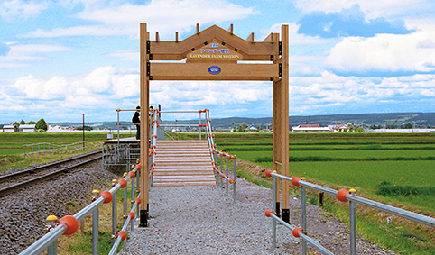 ���x���_�[���w