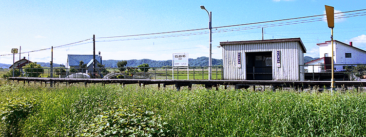 �����a�w