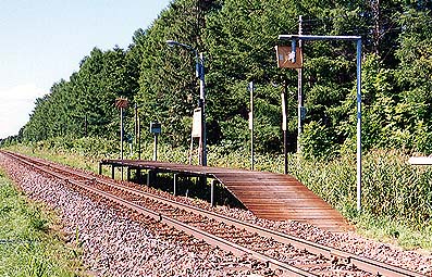 ���Z���w