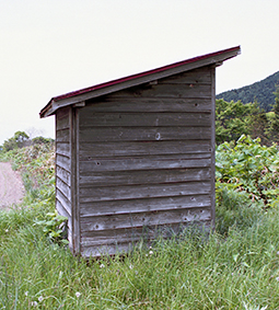 ��Y�M���w