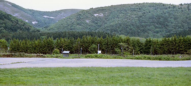 ��Y�M���w