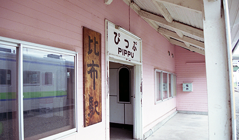 ��z�w ���w��