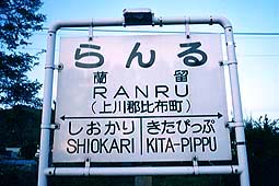 �����w ���w��