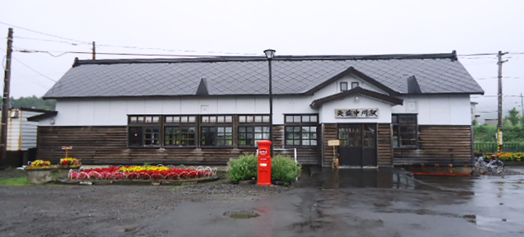 �V������w