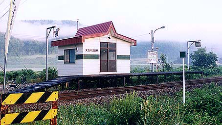 �V���쉷��w