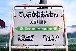 �V���쉷��w