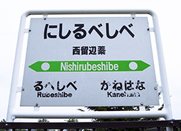 �������A�w