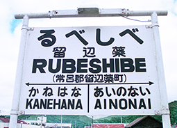 �����A�w