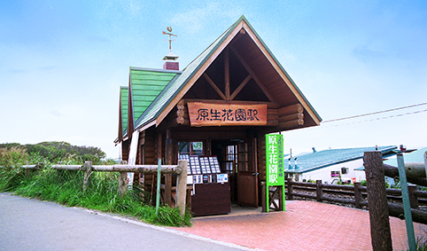 �����ԉ��w