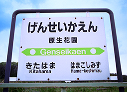 �����ԉ��w