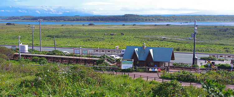 �����ԉ��w