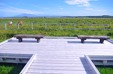 �����ԉ��w