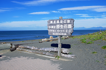 �����ԉ��w