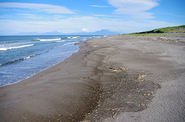 �����ԉ��w