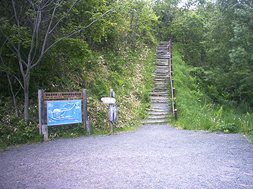 ���H�����w