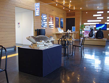 �m���Η��w