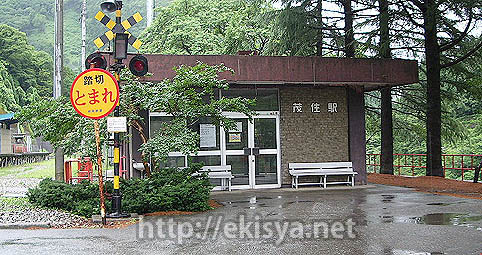 �_���S���@�ΏZ�w