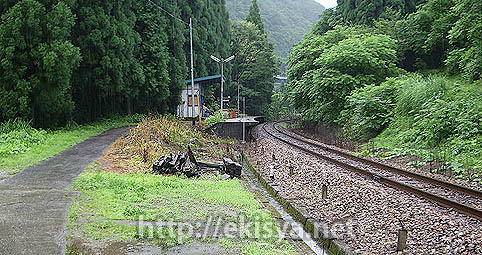 �_���S���@���R�w