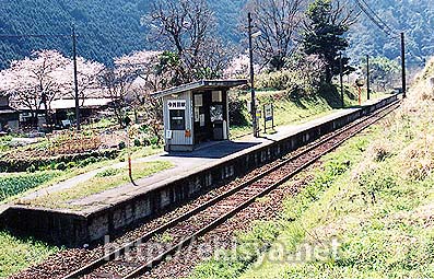 �����@����c�w