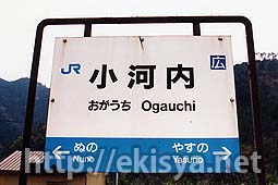 �����@���͓��w