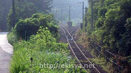 ������@�X�P���M����