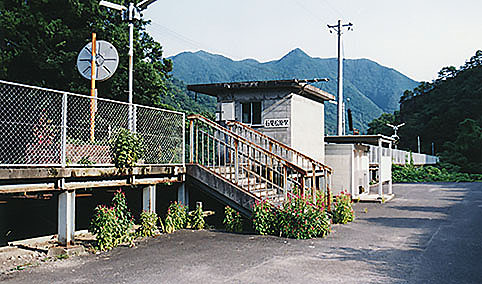 �Ό������w