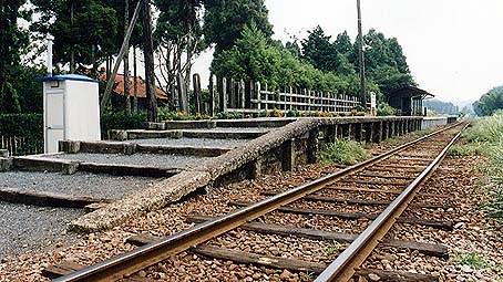 �،����@�㑍���w