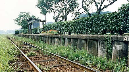 �،����@�V�c��w