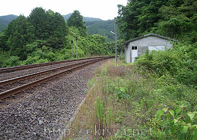 �������@�쉜�M����