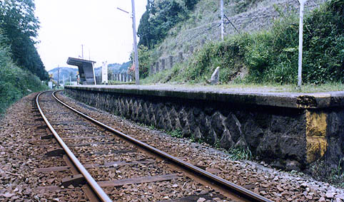 �R����@��t��w