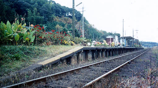 �R����@���H���w